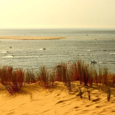 Poolside Escape By Arcachon, Cleaning Included Vakantiehuis La Teste-de-Buch