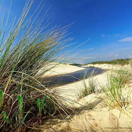 Poolside Escape By Arcachon, Cleaning Included Vakantiehuis